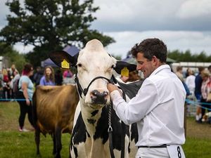 Supporting image for story: Stunt teams, livestock parade and more - Party time as Minsterley Show celebrates 150 years