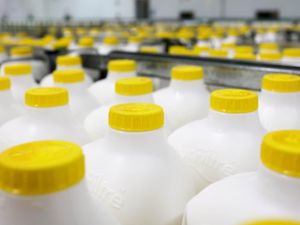 Supporting image for story: Concern for milk producers after major haulage firm 'in administration'