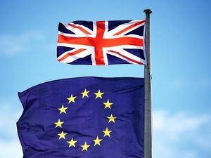 Supporting image for story: Why Brexit case is irrational and nasty