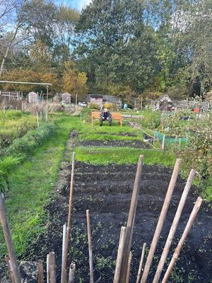 The allotment at Stanhope Road