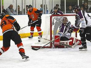 Supporting image for story: Tigers sharpen their claws with cup win