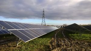Solar panels at Wheat Leasowes. Picture: Telford & Wrekin Council
