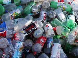 Supporting image for story: Plastic particles discovered in human poo