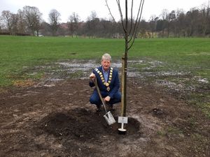 Supporting image for story: Shrewsbury Mayor plans tree for The Queen's Platinum Jubilee