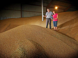 Supporting image for story: Shropshire farmers prepare to reap bumper harvest