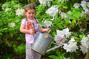 Supporting image for story: Award-winning flowers attract more than 2,000 to Plant Hunters Fair