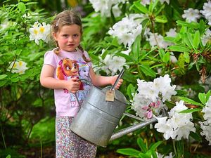 Supporting image for story: Award-winning flowers attract more than 2,000 to Plant Hunters Fair