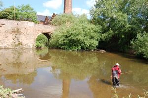 Egg sampling in Powick
