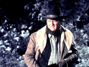 Supporting image for story: Peter Rhodes on vegan milk, dancing cowboys and the computer that beat Top Gun