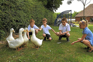 Feeding the ducks at Ladygrove Primary School, Dawley, are Jordan Thomas,nine, Harry Beamson, eight, Harry Abbey-Barnes, nine, and Ilania Knowles, nine. Youngsters at the school also keep chickens and pigs.