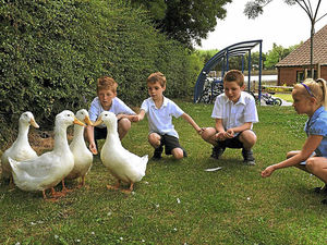 Supporting image for story: Telford headteacher is pupils' champion with eco lessons