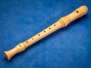 Supporting image for story: Only one in six children learning recorder after drop in popularity over decade