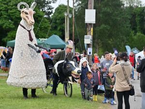 Supporting image for story: Watch: 'Shropshire has done us proud' - 77 glorious pictures as County show celebrates 150th anniversary in style