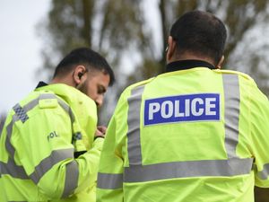 Supporting image for story