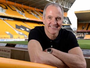 Supporting image for story: Steve Bull: Wolves should secure survival first, then push on into the top half