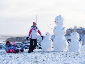 Supporting image for story: In Pictures: It’s lovely weather for a sleigh ride together