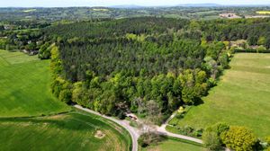 Blakeshall Common, near Kinver Edge