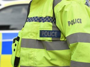 Supporting image for story: Police warning over thefts from gardens in Oswestry