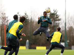 Supporting image for story: Bruno Lage: Willy Boly will bring balance to the Wolves squad