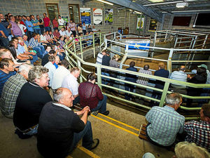 Supporting image for story: Milk price protests in Shropshire set to continue