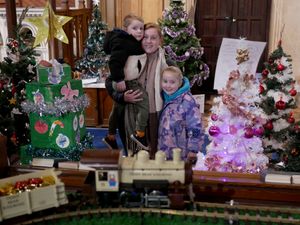 Supporting image for story: Winter wonderland Christmas tree festival on in Llandrindod Wells