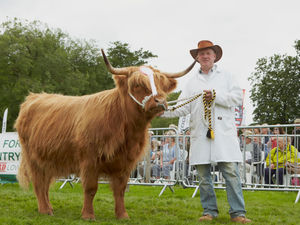Supporting image for story: Burwarton Show: Annual event attracts crowds - with updates from the event