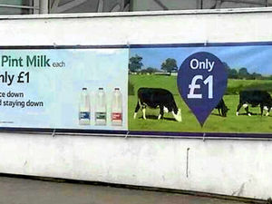 Supporting image for story: Tesco's false moo-ve over cow advert