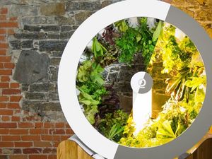 Supporting image for story: Rotating indoor garden lets you grow herbs and veg without compromising on space