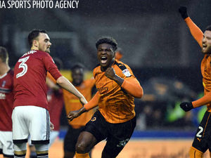 Supporting image for story: Wolves 4 Fulham 4 - Report and pictures