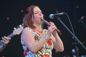 Frog on a bike perform at Shrewsbury Folk Festival