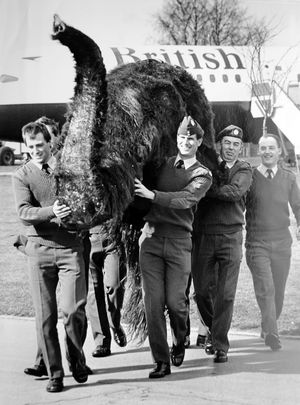 Supporting image for story: A satirical take on Keir’s latest address - your letters, plus a mammoth task for the RAF in 1988 - an archive picture