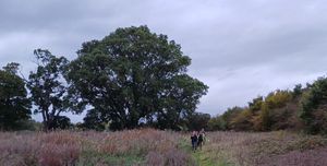 A group of concerned residents walked sections of the proposed relief road route.