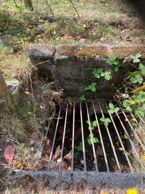 Drains in the garden adjacent to the lagoon site struggle to cope with frequent floods. Picture: Chris Naylor