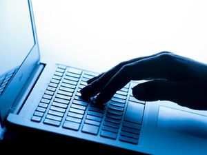 Supporting image for story: ‘Bogus credit card applications surged towards end of 2021’