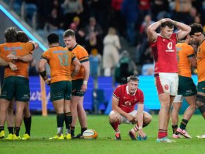 Supporting image for story: Wales losing run continues with narrow defeat by Australia in Sydney