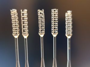 Supporting image for story: Wolverhampton uni team design 3D-printed swab that could test for virus