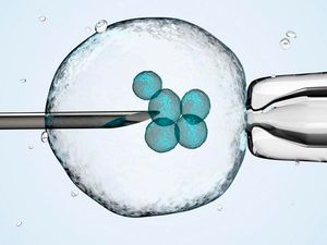 Supporting image for story: This is why women are freezing their eggs, according to a new study