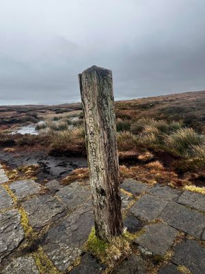 The source of the Severn. Photo: David Jones