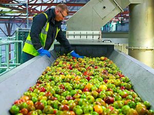 Supporting image for story: French group swoops for Aston Manor