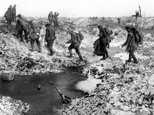 Supporting image for story: Peter Rhodes on a vegan row, a confusing 'they' and how the world stumbled into war