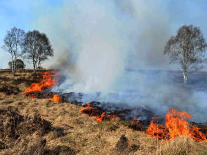 Supporting image for story: Huge fire tackled by 80 firefighters