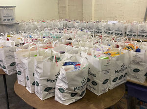 Supporting image for story: Help out Ironbridge's vulnerable with the 100 Bags Challenge