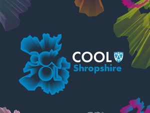 Supporting image for story: Council offers free help for small businesses on the road to sustainability