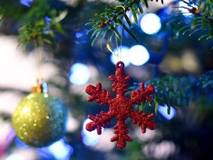 Supporting image for story: New track proposal for Ludlow Christmas tree firm aims for 'safer' access