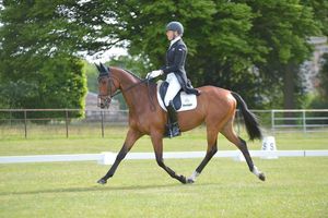 Harry Hall x The Howden Way