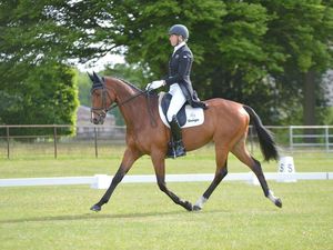 Supporting image for story: Exclusive programme brings racehorse rehabilitation support to Staffordshire