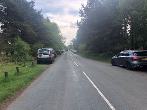 Supporting image for story: Cannock Chase parking charge plan to cost nearly £8 million