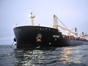 Supporting image for story: Sweden rules out sabotage over Baltic undersea data cable rupture