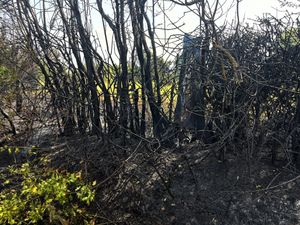 Damage to hedgerows. Pic: Market Drayton Fire Station