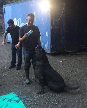 Crews members playing with Major after the rescue. Picture: Haden Cross fire station/West Midlands Fire Station